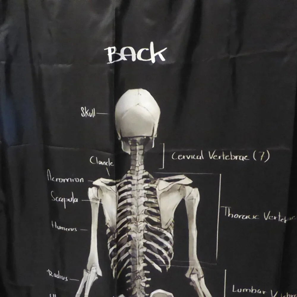 NEW GOTHIC HALLOWEEN SKELETON MEDICAL ANATOMY ILLUSTRATION SHOWER CURTAIN ODDITY